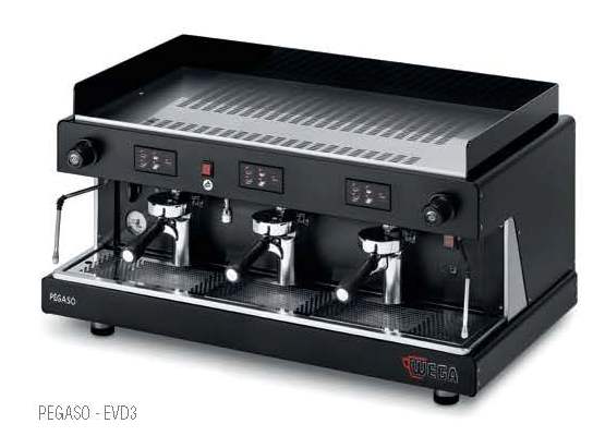 Wega Pegaso