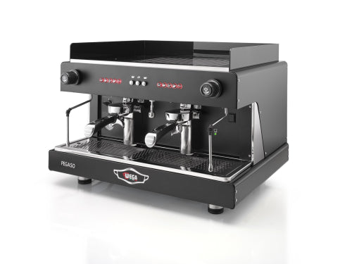 Wega Pegaso